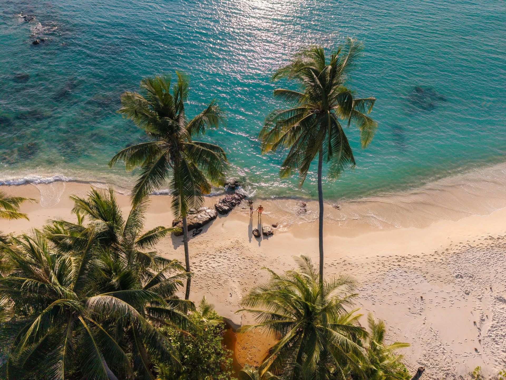 Tropical bay with palm trees swaying beside crystal-clear turquoise water near Kuta Lombok